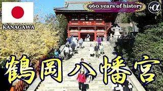 海岡八幡宮、鎌倉市：鎌倉幕府の初代将軍源頼朝ゆかりの神社。約800年の歴史を持つ。