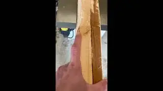 English Yew Bow Stave D | 84