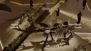 A Cinematic Look at Abu Dhabi&rsquo;s Natural History Museum 🦕