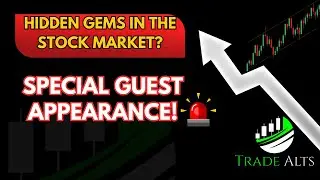 Next Big Trades? Technical + Fundamental Breakdown | w/ Special Guest!