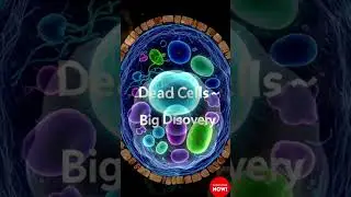 Cells.. The basic unit of life ✨️
