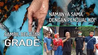 WAHANA KOI DISERBU DARI PONOROGO | Koi Kecil Untuk Kolam Baru
