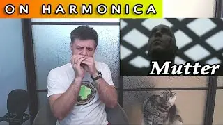 Mutter on the harmonica (Rammstein's cover)