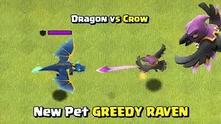 Новый питомец &mdash; Жадный Ворон против всех максимальных отрядов! Clash of Clans