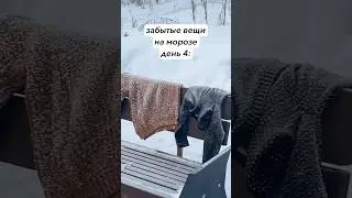 забытые вещи на морозе 4
