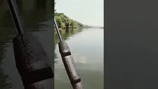 French Broad River Just Produced a MONSTER Smallmouth!  #bassfishing #kayakfishing