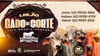 LEILÃO GADO DE CORTE FORMOSO LEILÕES - FORMOSO - GO - 15/01/2026