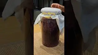 Wine Making | Grape Wine| Part 2 | After 21 days