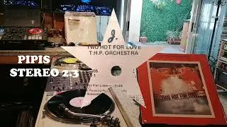 THP Orchestra -Two Hot For Love -1977