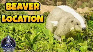 How to Find Castoroides in ARK Ascended - Extinction Map