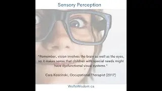 BIG WAVES of Sensory Perception 10min part 1 WolfeWisdom.ca