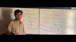 Cell cell theory and cell wall in detail 