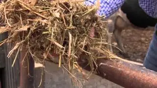 The Benefits of Spent Grain