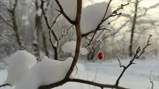 Stunningly beautiful pictures of the winter nature of the Krasnodar Territory. #russianwinter #by...
