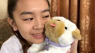 Say Hi to Wrinkles! Little Live Pets - My Kissing Puppy