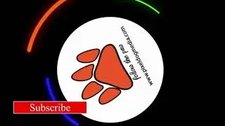 Lower Thirds Subscribe Animation