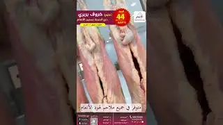 خرفان بربري مذبوح #foodie #meat #lamb #qatar #somali