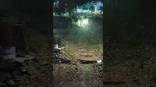 First rain of 2022 #tranding #jalmhal #jaipur #rain #song #lovesong #whatsappstatus