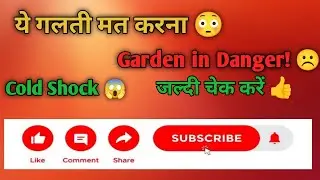Cold Weather Garden Cleaning Challenge | Winter Garden Care Tips