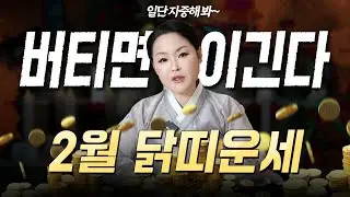 🔥 2026년 2월 닭띠운세 🔥 하던 것만 해! 지금은 자중자애 할 시기! 끝까지 버틴 사람이 결국 웃는다!