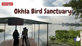 OKHLA BIRD SANCTUARY | Best Time to Visit | Location, Entry Fee, Timings | Full Tour & Information