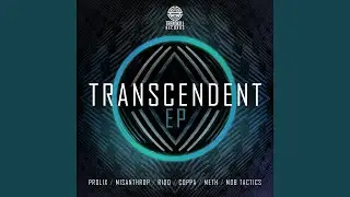 Transmission