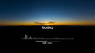 Bucky - sunrise