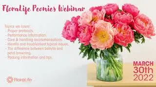 FloraLife Webinar: Peonies