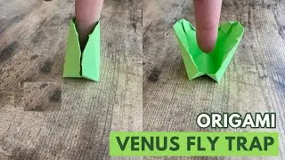 ORIGAMI VENUS FLY TRAP PLANT PAPER TOY TUTORIAL | FUN DIY CRAFT TUTORIAL STEP BY STEP FINGER TRAP