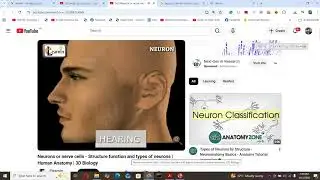 Suzanne Child Protection Stunned Neuro-Anatomy MBBS Part-1