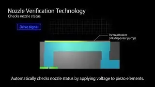 Epson ColorWorks C7500 | Take the Tour of the Industrial Color Label Printer