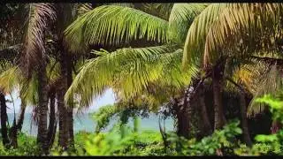 Arroyo Barril Samana Land for Developpers
