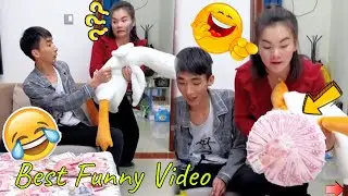 Plucking A Fortune From My Husband With A Toy Duck😺😍 Chinese Funny Clips Part 263