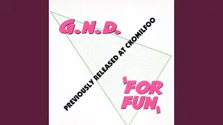 For Fun (Master Mix)