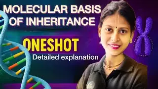 Molecular Basis of Inheritance Class12board |NEET2025-26Detailed Explanation |One Shot NCERTBiology 