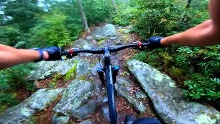 Rothrock State Forest
