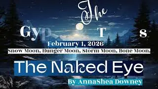 The Gypsy Tymes The Naked Eye by AnnaShea Downey #orderpublicsafety #bethechange