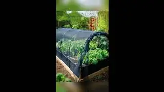 Outdoor Garden Net - Mosquito & Bird Barrier, Plant Protection#howto#garden #diy