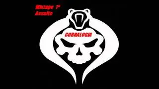 Filhos Bastardos ft. Nga - MixTape Cobra Preta - CobraLogia 2011