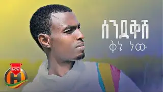 Alayu Endalew - Sendekish Qene New | ሰንደቅሽ ቅኔ ነው - New Ethiopian Music 2023 (Official Video)