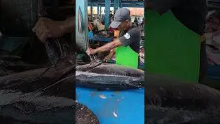 Big Tuna Fish Cutting Skills #Fish #Fishcutting #Fishmarket #Lokalmarket #Fishing