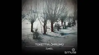 T&uuml;kettin &ouml;mr&uuml;m&uuml; zynl