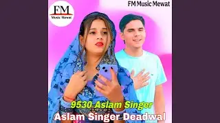 9530 Aslam Singer