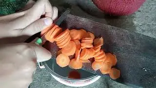 Chicken broccoli carrot soup village style 