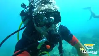 Scuba Diving Bayahibe Dominican Republic