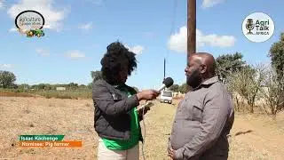 From Pigs to Prosperity: A Chongwe Farmer&rsquo;s Journey of Inspiration 🐖🌱🐐🐄 #AgritalkAfrica