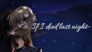 If I died last night- || Steve angst || Dead Steve AU || Original ||