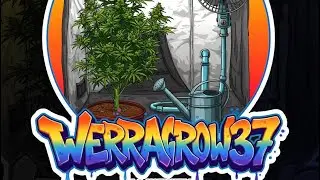 Обновление Spiderfarmer спустя 2 дня