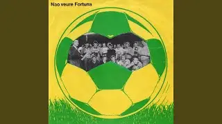 Nao Veure Fortuna