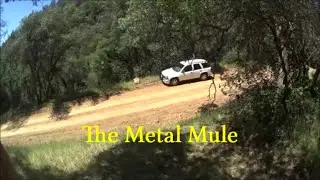 The Metal Mule Song